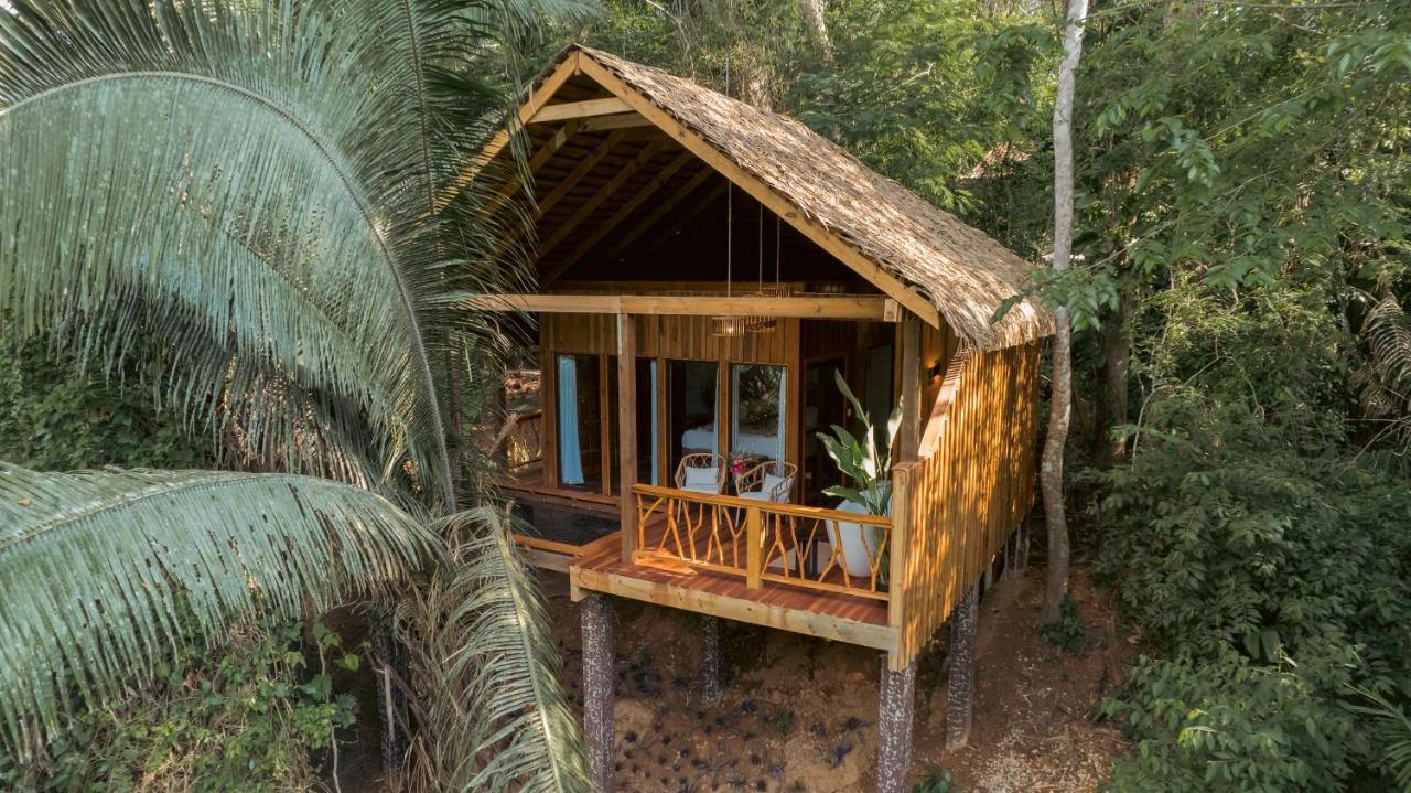 Sweet Songs Jungle Lodge Сан Игнасио Екстериор снимка