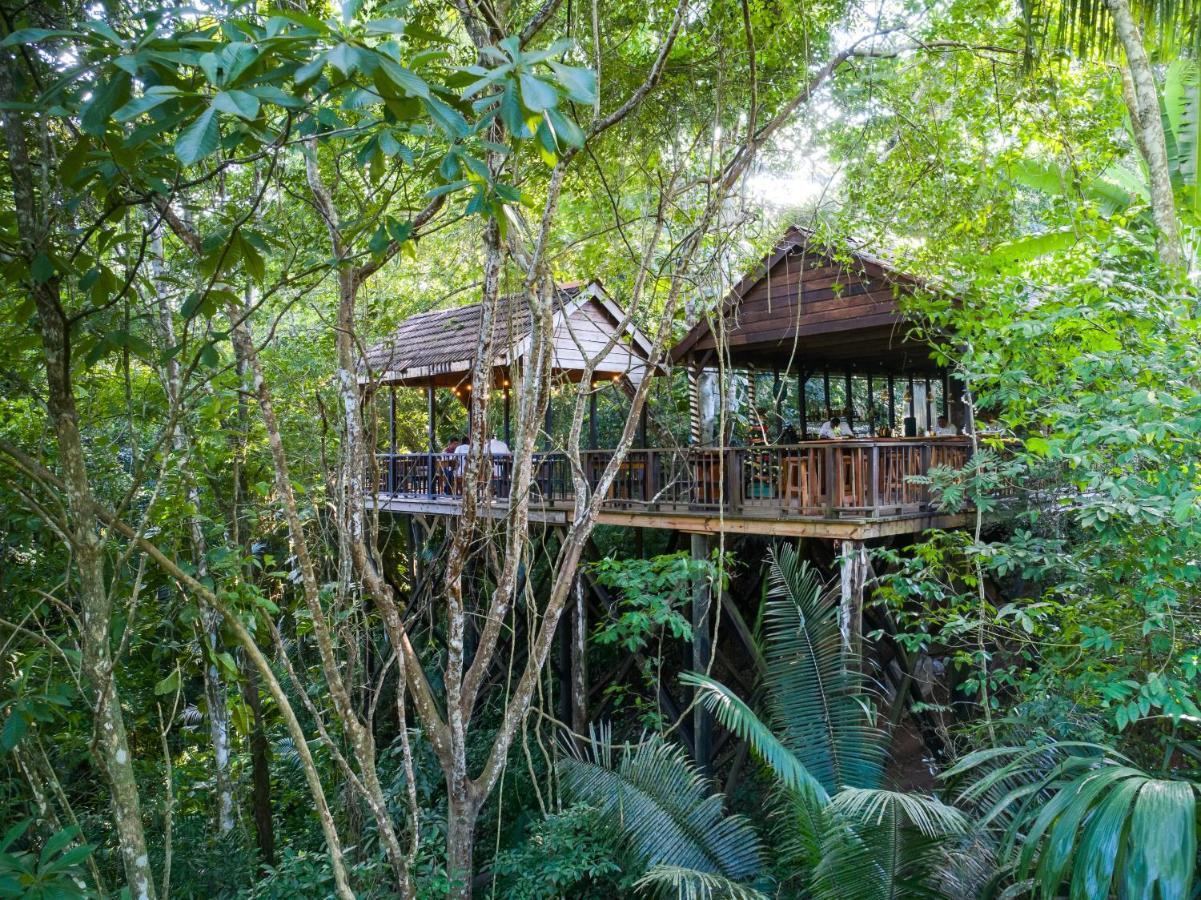 Sweet Songs Jungle Lodge Сан Игнасио Екстериор снимка
